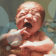 newborn