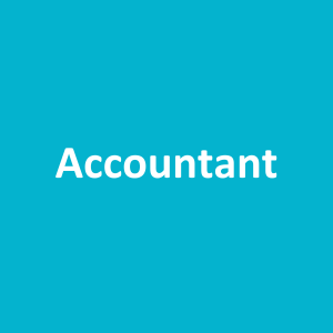 accountant