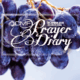 prayer diary dec to march 26 thumbnail